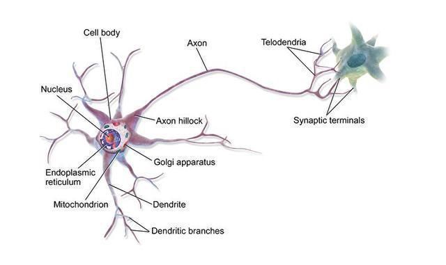 幼儿园|孩子在幼儿园有这3种表现,说明有学霸潜质,父母以后会超级省心
