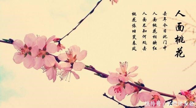 常犯|一段偶遇令他一诗成名,28个字写尽世人常犯的错,令人肝肠寸断