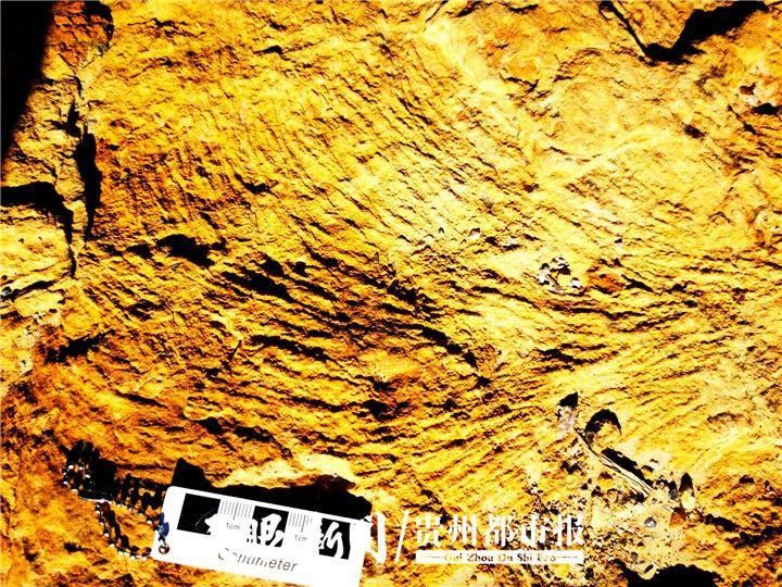 “油炸豆腐石”谜底揭开！贵州发现神秘地质奇观
