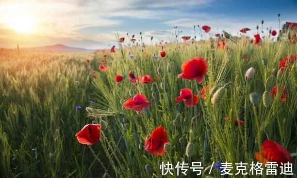 7月9日是什么日子