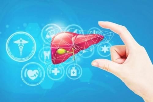 院士|李兰娟院士提倡：秋季养肝，可多吃这7种养肝食物，让肝脏更红润