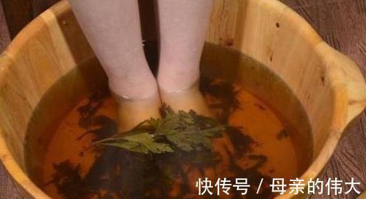 泡脚|小小艾草,5大功效!9个民间妙用方,横扫百病!收藏以备不时之需