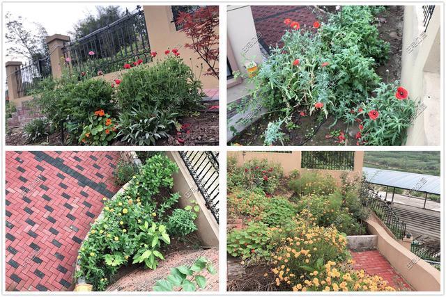 内装|为什么现在的5、60后，不爱社交，开始向往田园养老生活