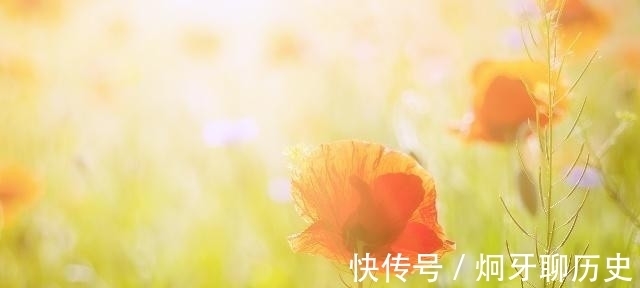 东风|苏轼这首诗标题就有31个字,不少人只记得其中7个字,千古名句