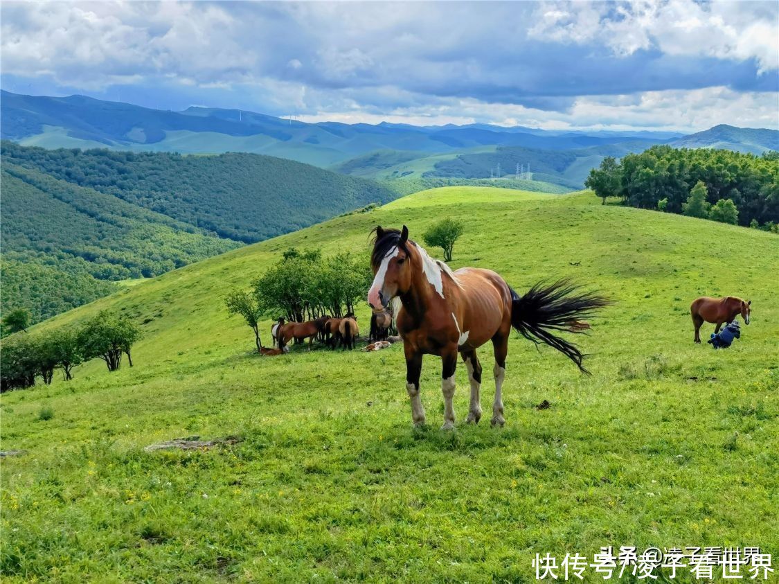 千松坝森林公园|治愈系美景，自驾者的天堂，千松坝森林公园暑假旅行的最佳地