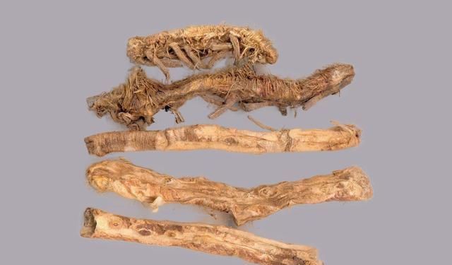 一种味苦而甘的中药,清热泻火、滋阴润燥,效用非常,你知道多少