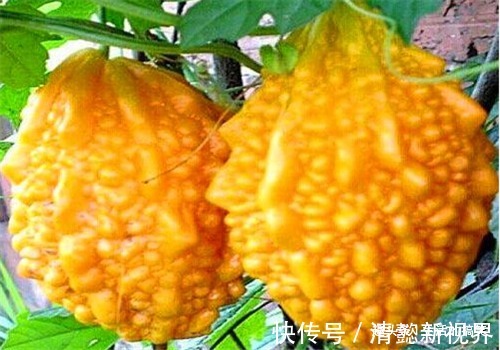 女性|爱美的女性要多吃4种食物,排毒养颜、延缓衰老,有益健康