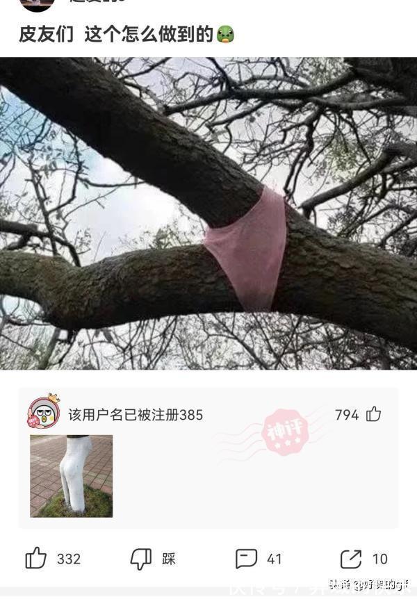 名字#神回复:哪些人的名字,光是念出来就自带杀气?