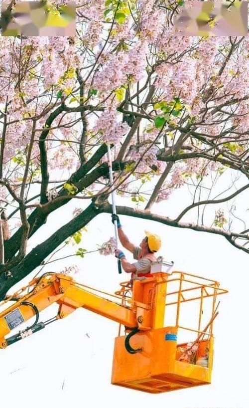 深藏金兰路的这片绝色 不允许你错过