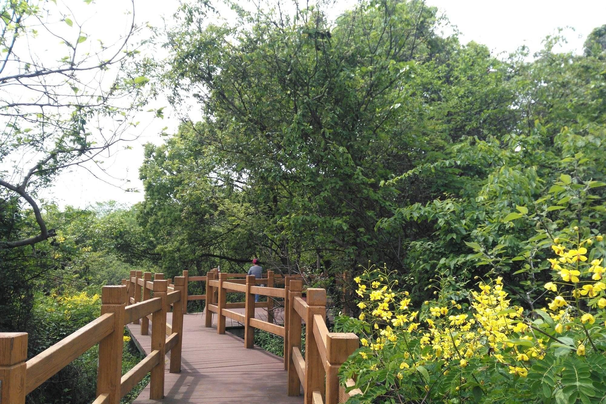 皱纹|男人老没老,看脸就知道,若有这3个特征,说明老了,别不承认