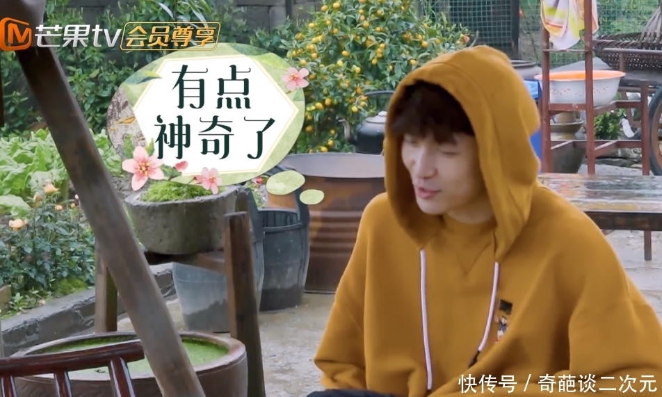 杨紫 牵手?搭肩?张艺兴和杨紫,你们现在都不避人了吗?