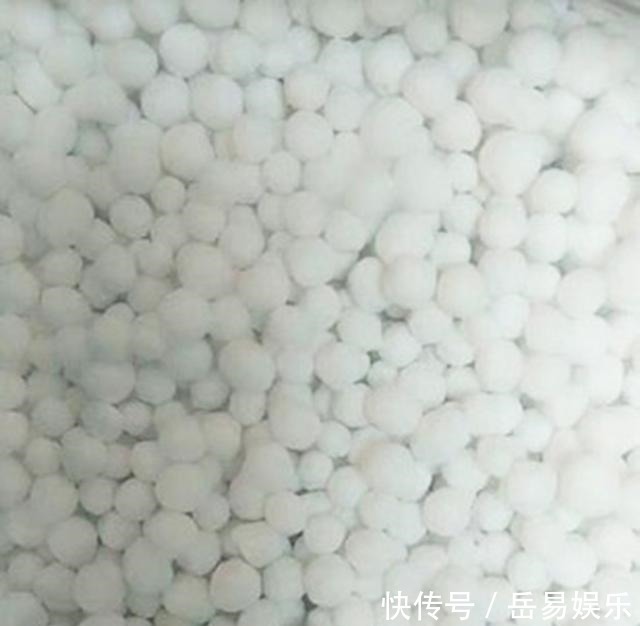 皮水|橘子皮养花有4个“坑”不能踩,方法不对没效果还伤花