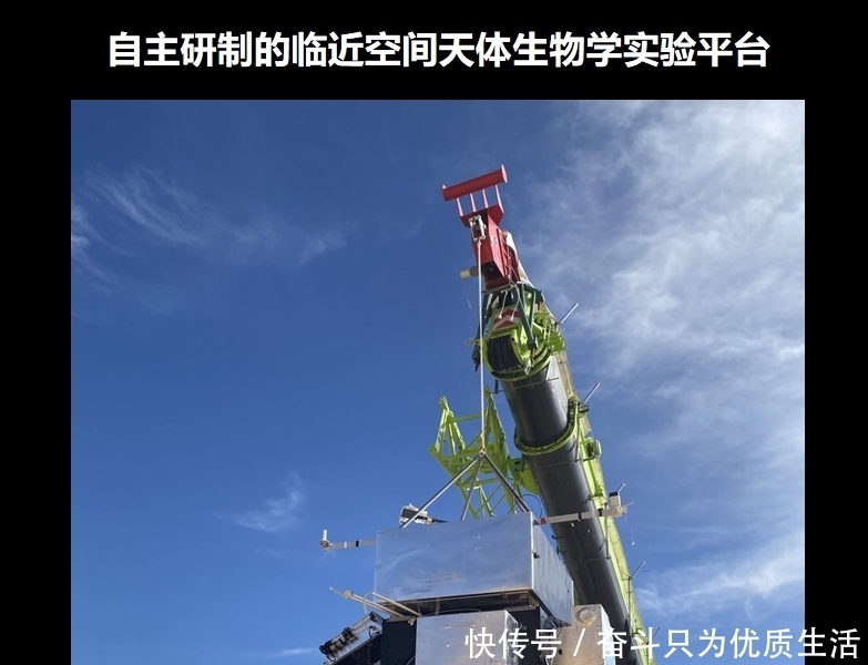 这个飞机上不去,卫星下不来的区域,成为了探索火星生命的天然实验室|林巍