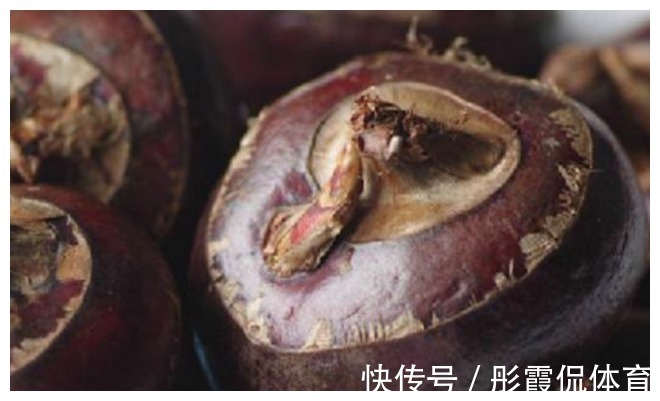 女性|多吃水果比较好？子宫“害怕”这几种水果，建议女性平时少吃