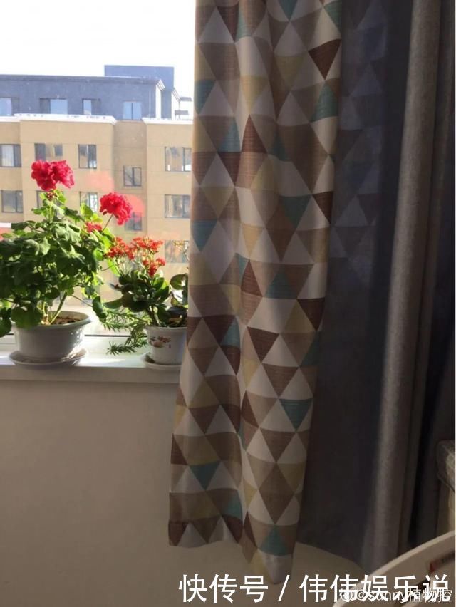 地方|夏天养花,这个地方千万别摆,否则3天死翘翘