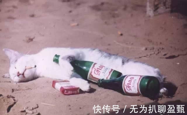 苏东坡&宋代词人醉酒奇葩事 骂人的, 酒驾的, 惦记别人小妾的