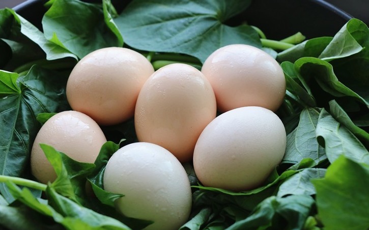 正当季|红薯叶煮鸡蛋，作用实在是太厉害了，省钱又实用，很多人都不晓得