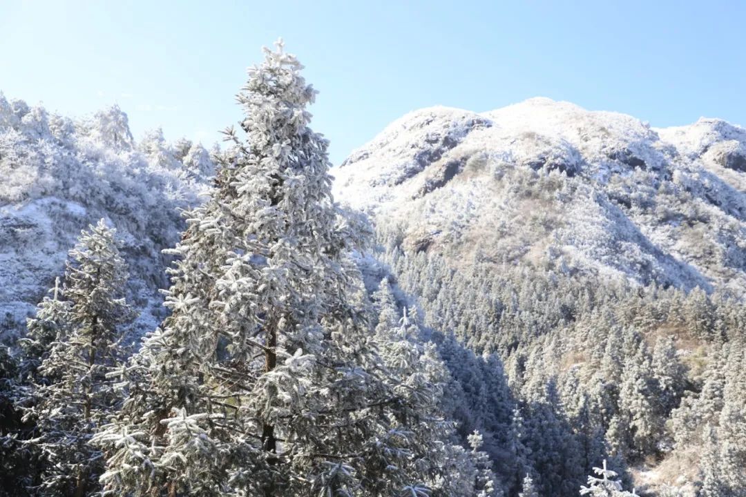 冬日不用去远方！遂昌这处“雪乡”美的已如童话世界~