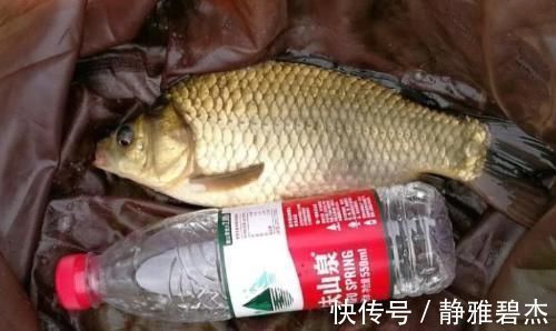 钓鱼|钓鲫鱼从不空手的8个配方，随便挑一样都好使