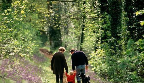 头发冒出四大信号,危害自己的“肝肾”健康,抓紧五个办法挽回
