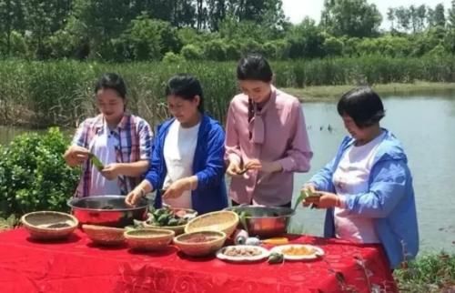 董卿|央视制作端午特别节目,张舒越担任主持,观众口碑左右其事业发展