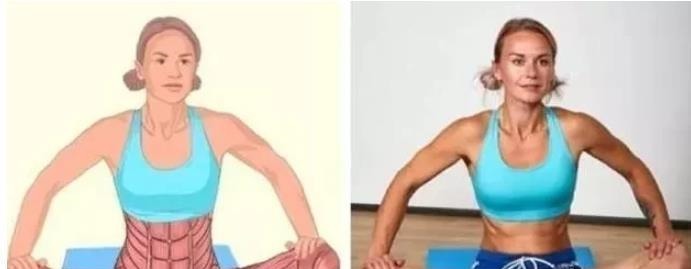 肌肉|全身拉筋3D图解，一步到位，在家也能强身健体