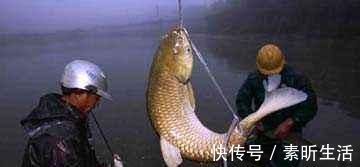 绳子|南方农村的'弓鱼术'，能让鱼离水几天不死，是如何做到的呢