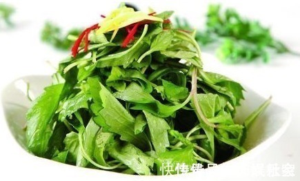 清热解毒|常吃此野菜,能清热解毒,润肠通便,值得分享给家人