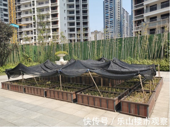 下跌|实探乐山这个均价一路下跌的楼盘,你买亏了吗?