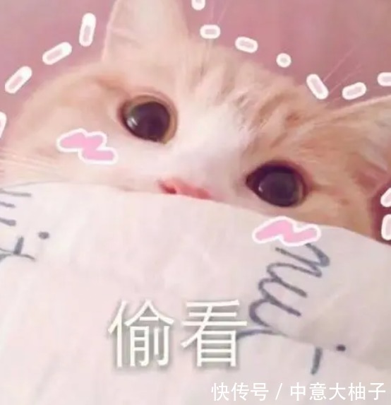 大牌|在大牌压力下夹缝生存的小众护肤品,卖不起高价钱,却都身怀绝技