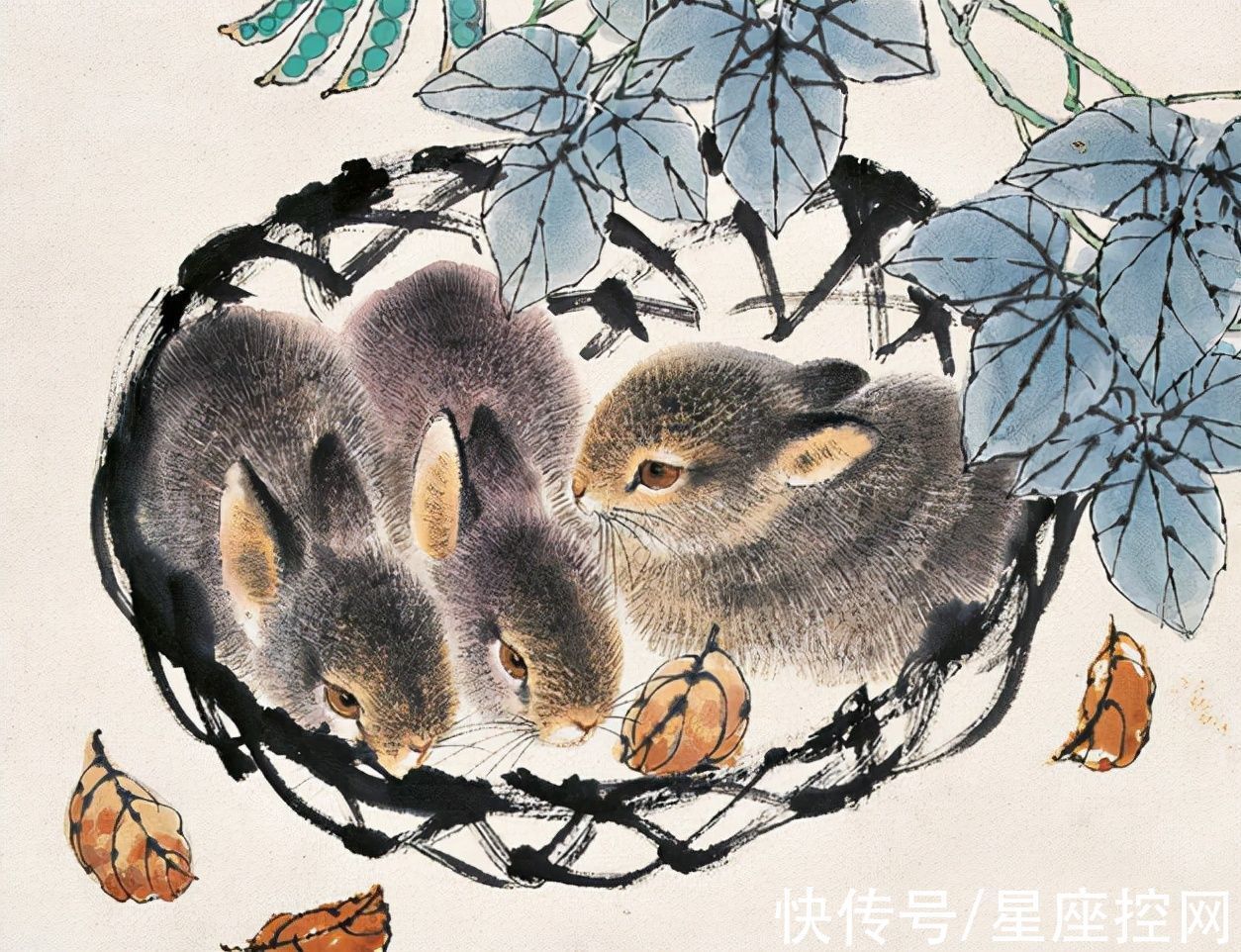 生肖兔生肖兔|年底再度翻身的3大生肖,要钱有钱,要爱有爱,啥烦恼都消失不见