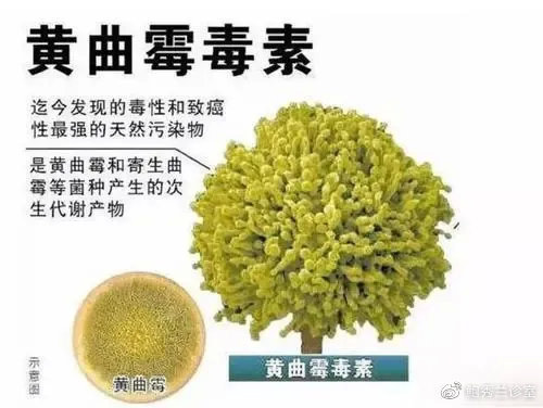 活虫|1岁男童体内感染多条活虫!医生提醒:还这样做饭就是害娃