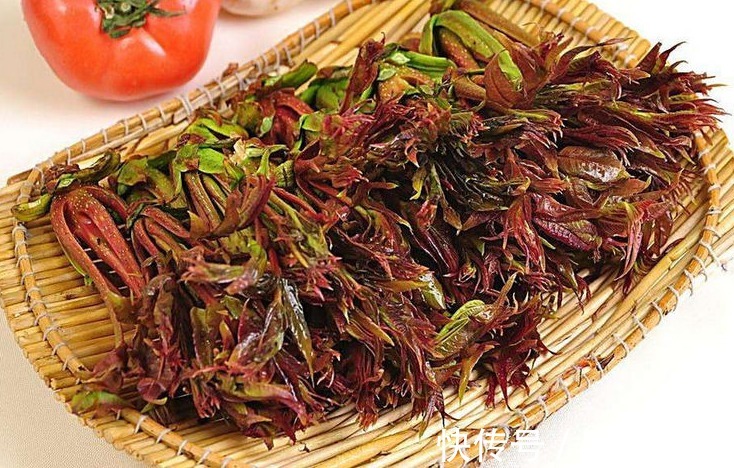芳香族|立秋后,不妨多吃此野菜,能补阳滋阴,润滑肌肤,早知早受益