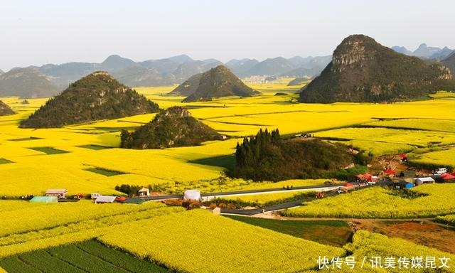 赶紧收藏，全国“醉”美油菜花都在这里了