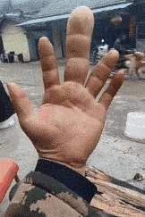 |搞笑GIF:花大价钱来看的表演 你们说我是不是被骗了