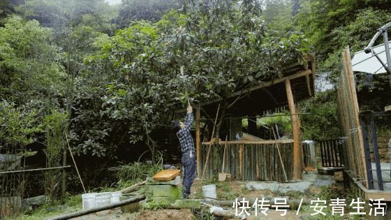 大堰塘|一家四口隐居深山中，三年无经济收入，他们凭什么生存