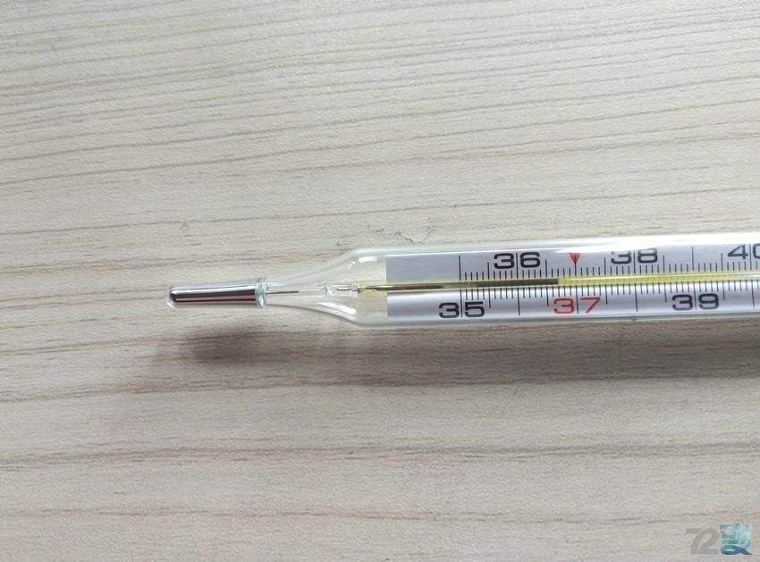 银翘|“芦根煮水喝”,过去农村治感冒发烧的土办法,简单管用!