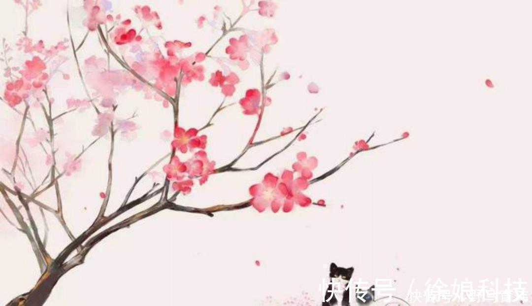 崔莺莺|晚年元稹回想初恋崔莺莺,写下的这首《春晓》,感动了无数的读者