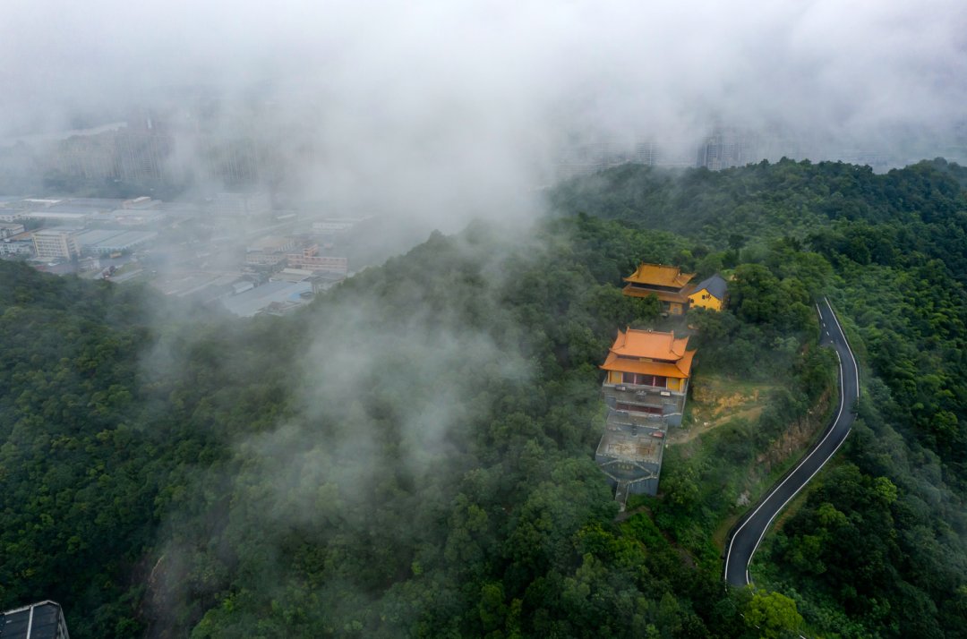 老虎洞村|虎年，萧山这些地名都很“虎”