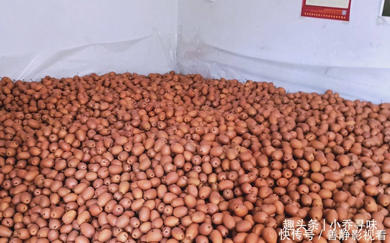 国人历时14年培育成功，价格却从25元跌到5元，如今很难见到