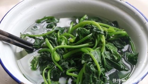 地瓜|地瓜叶子别浪费，做成早餐饼，营养易消化，适合老人小孩