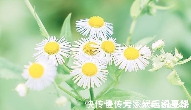 主见|不露锋芒的星座女，内心强大且具备主见，沉默中运筹帷幄