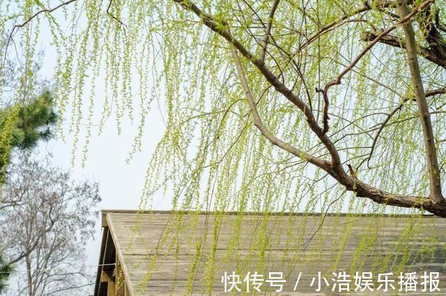 张九龄&12首张九龄诗作语言素练质朴,寄托深远人生