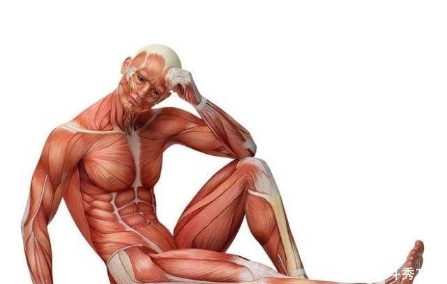 26个冷知识:你可能难以置信,但是它却真实存在