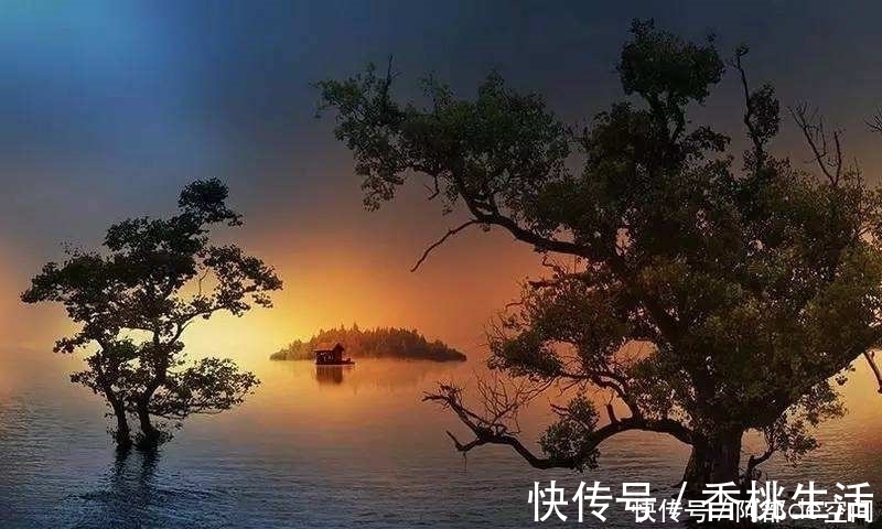 杨老|96岁老中医,从不吃保健品!5大养生经,他特别强调最后一点