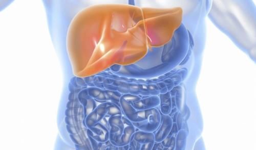 现象|肝不好,手先知!手上若有3种“现象”,建议要做“肝CT”检查了