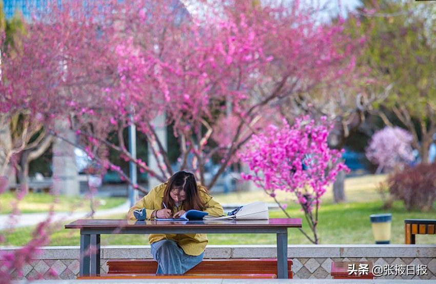 春天的河西学院，最美丽的风景处处都有视觉冲击