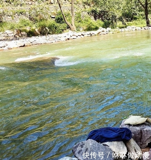 香木|太行暮秋 香木河流水汤汤寒蝉鸣