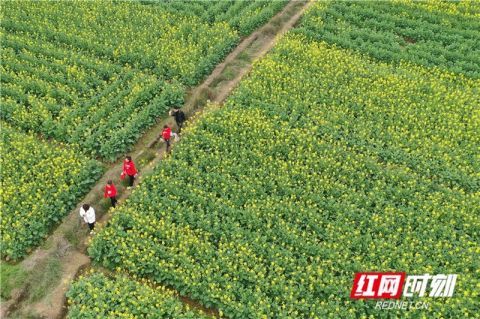 道县郊游 乐享假日