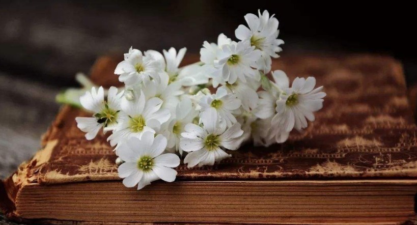 夜吟@李商隐的一首肉麻情诗,其中一个千古名句家喻户晓,却长期被用错